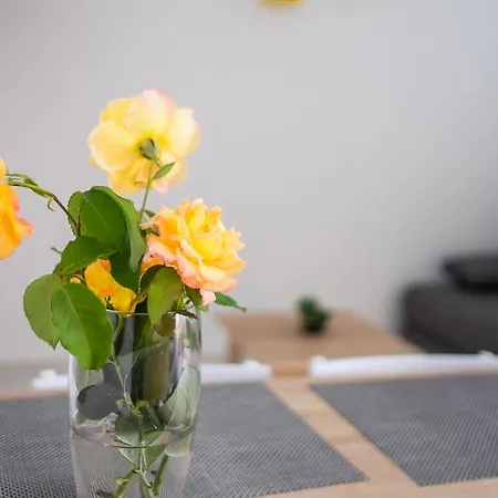 Vall Apartman Krk Town