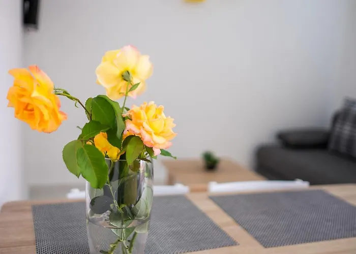 Vall 公寓 克尔克